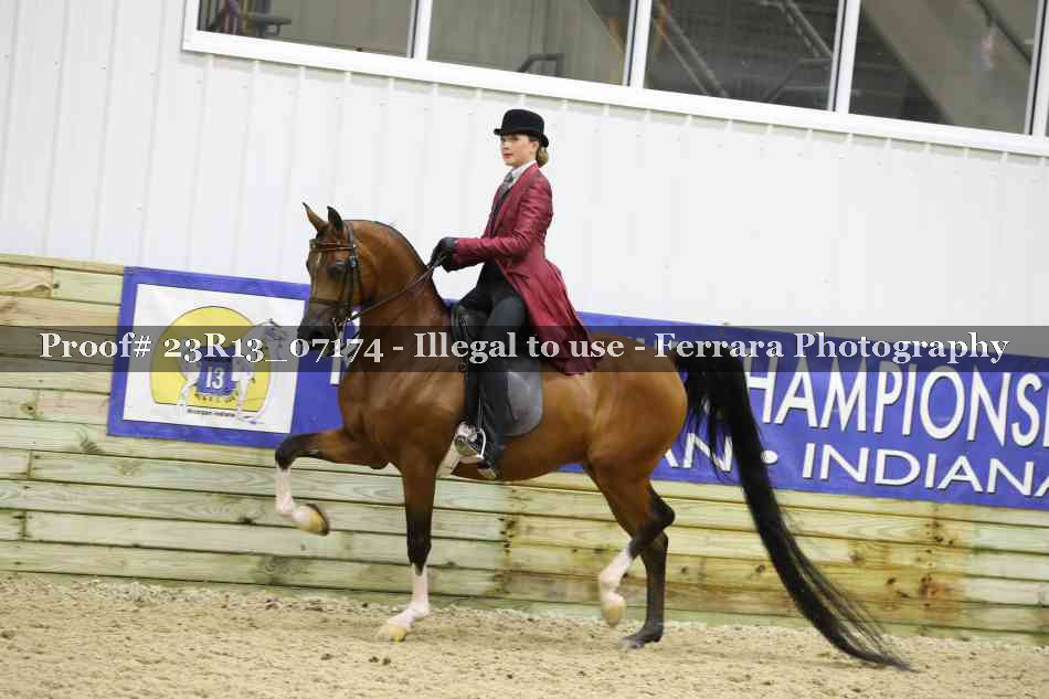 Proof Number 23R13_07174