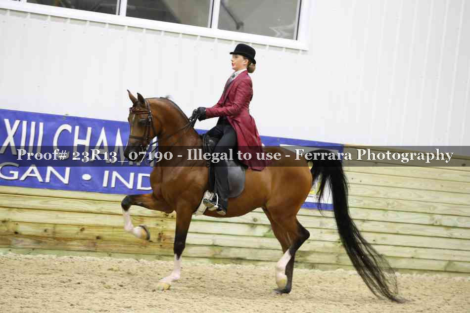 Proof Number 23R13_07190