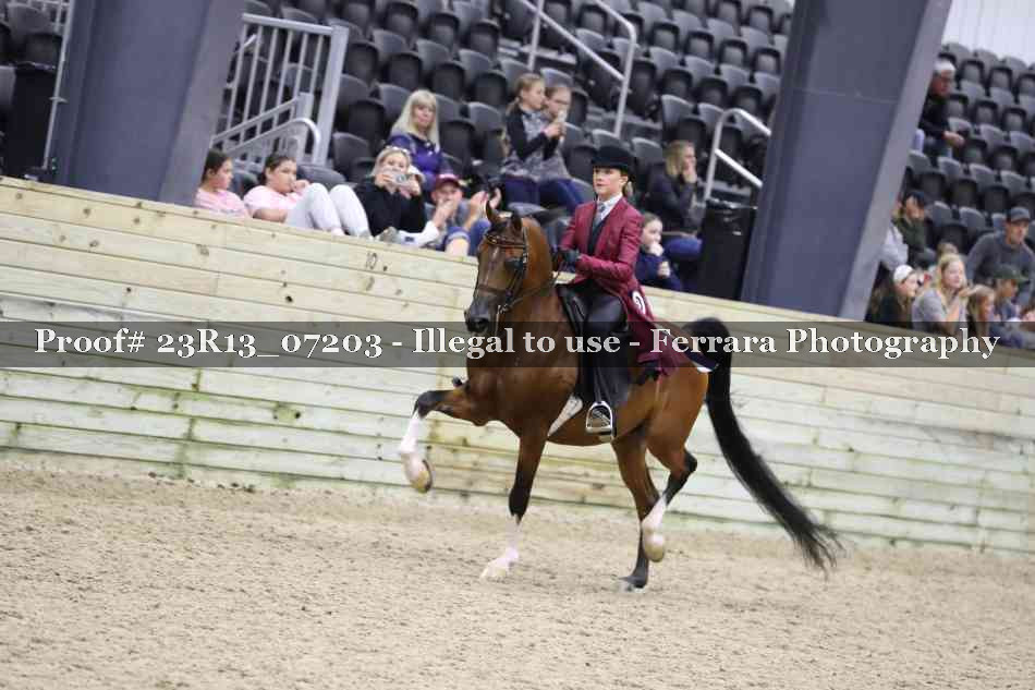 Proof Number 23R13_07203