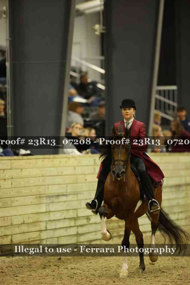 Proof Number 23R13_07208