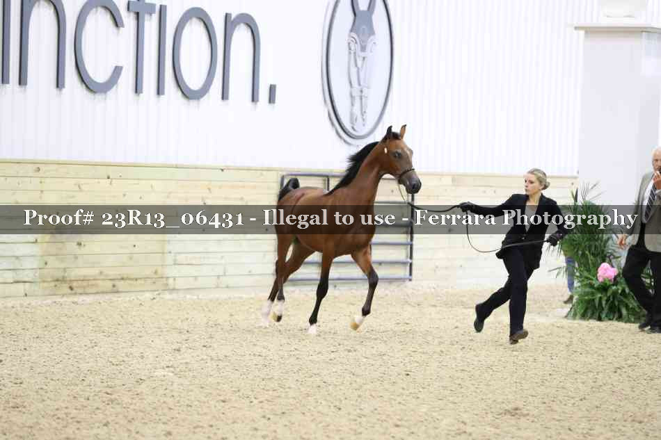 Proof Number 23R13_06431