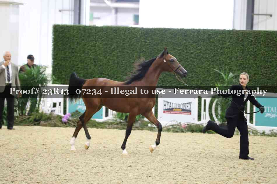Proof Number 23R13_07234