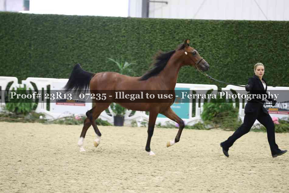 Proof Number 23R13_07235