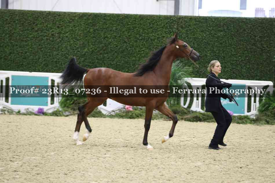 Proof Number 23R13_07236