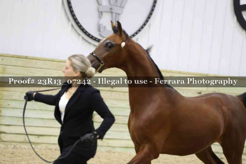 Proof Number 23R13_07242