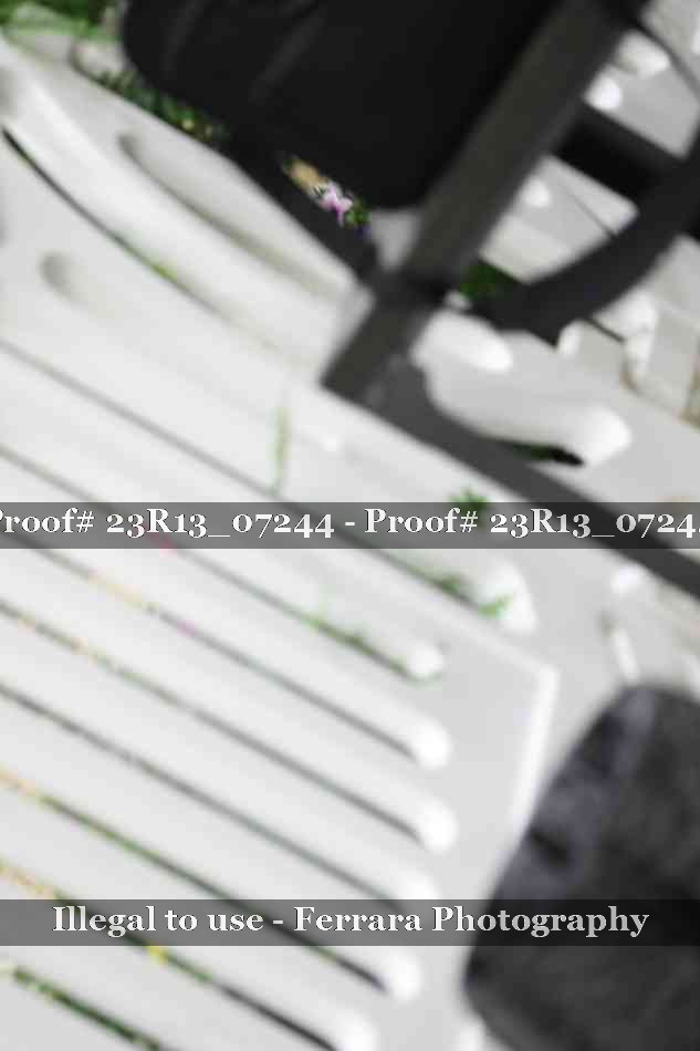 Proof Number 23R13_07244