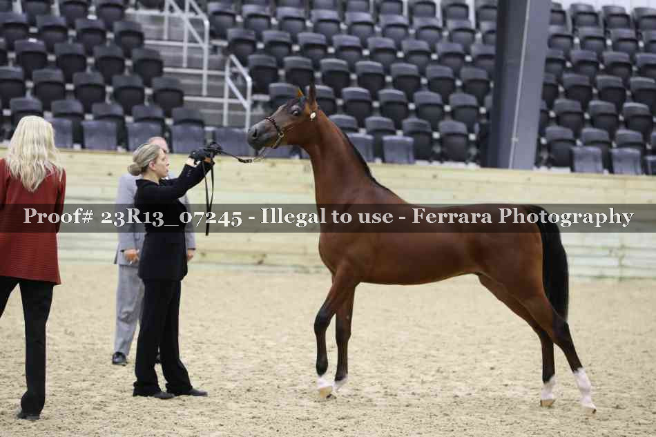 Proof Number 23R13_07245