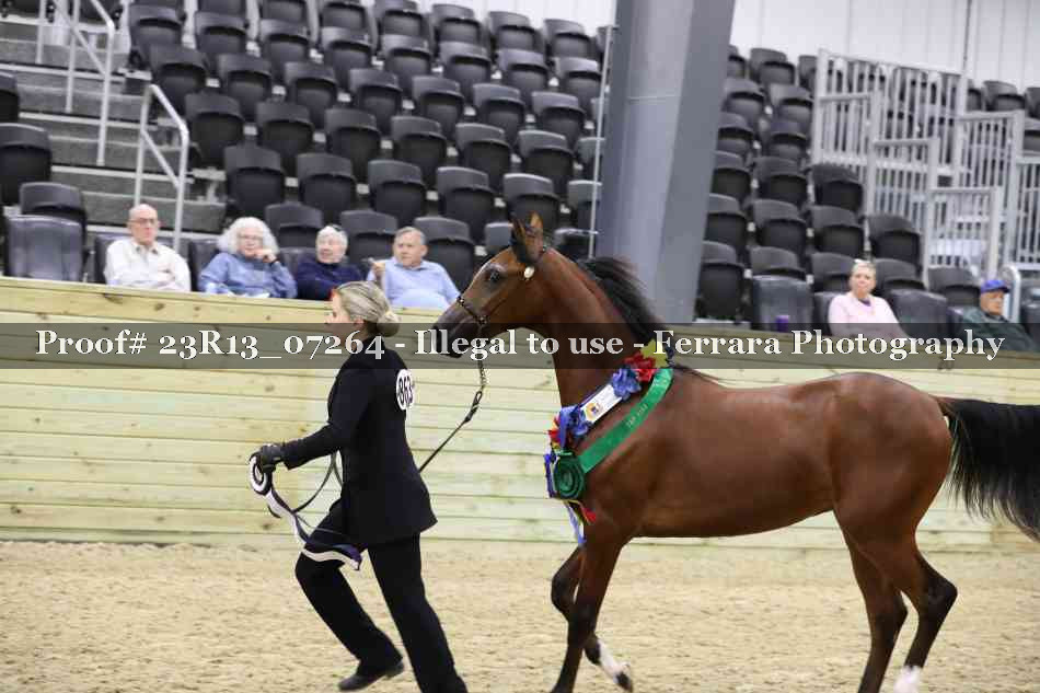 Proof Number 23R13_07264