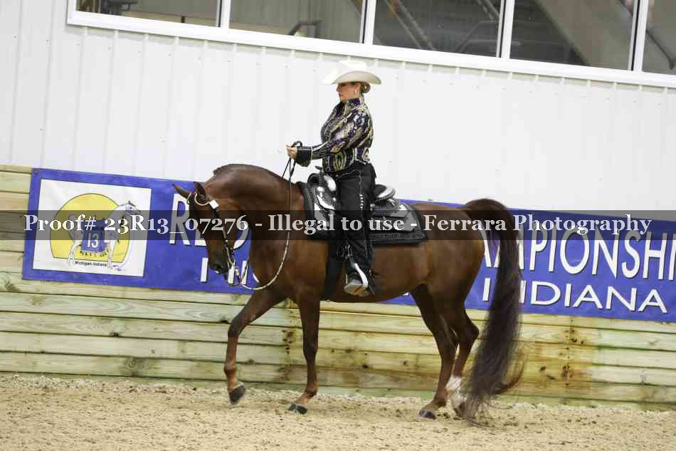 Proof Number 23R13_07276