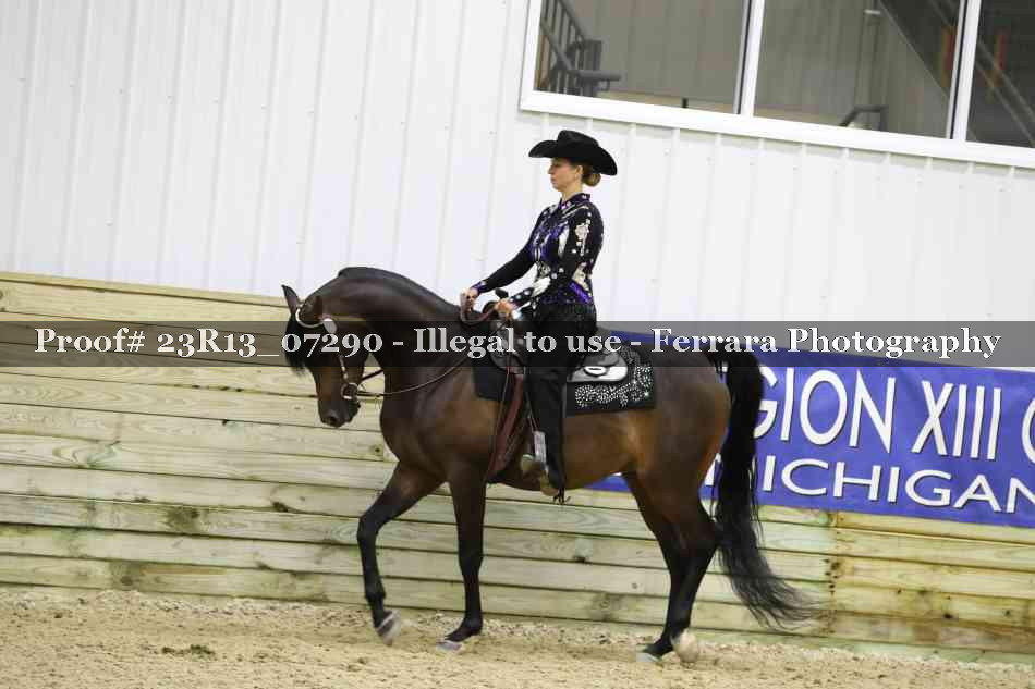 Proof Number 23R13_07290