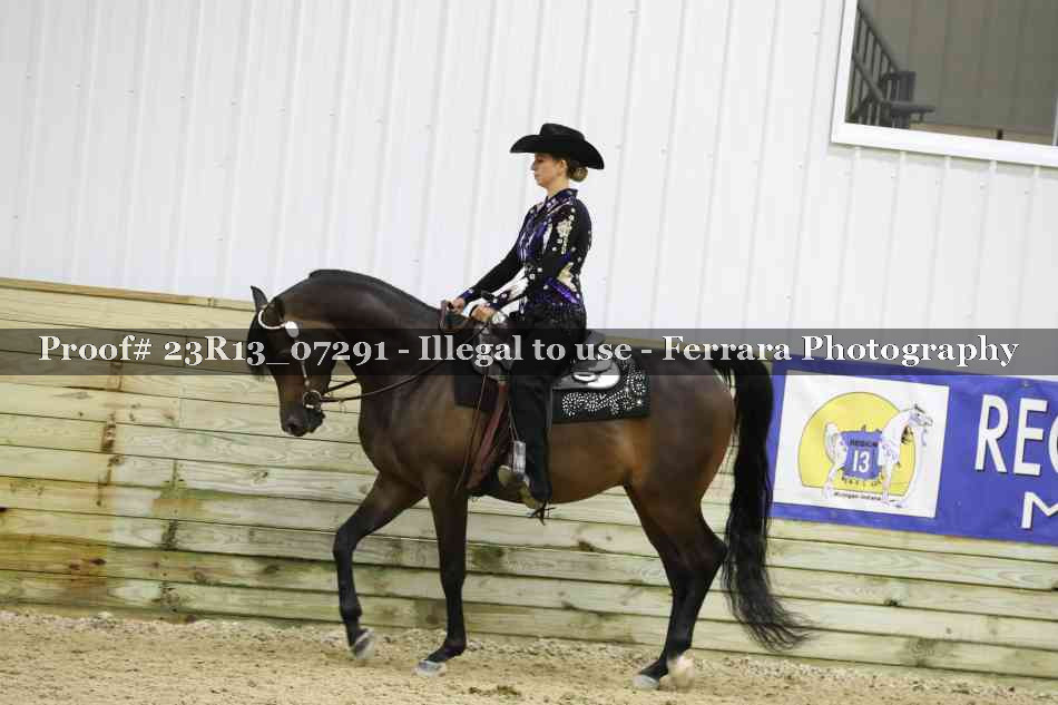 Proof Number 23R13_07291