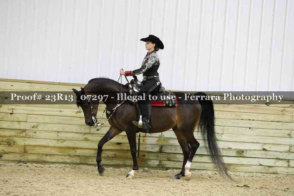 Proof Number 23R13_07297