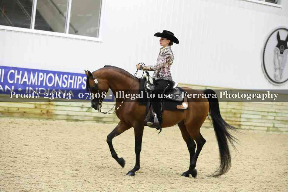 Proof Number 23R13_07308