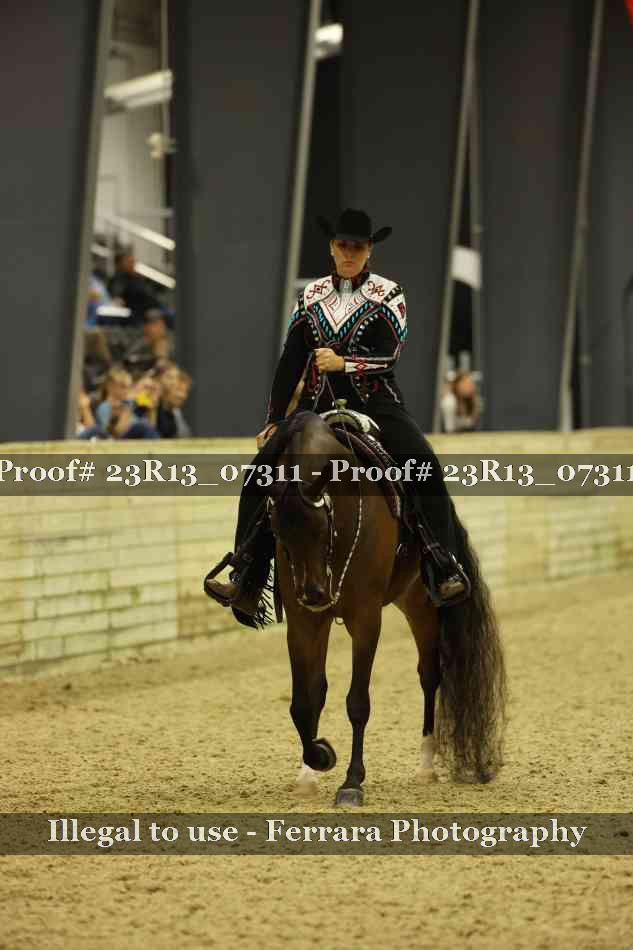 Proof Number 23R13_07311