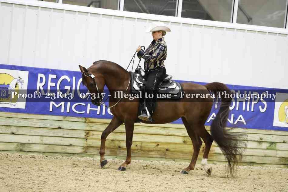 Proof Number 23R13_07317
