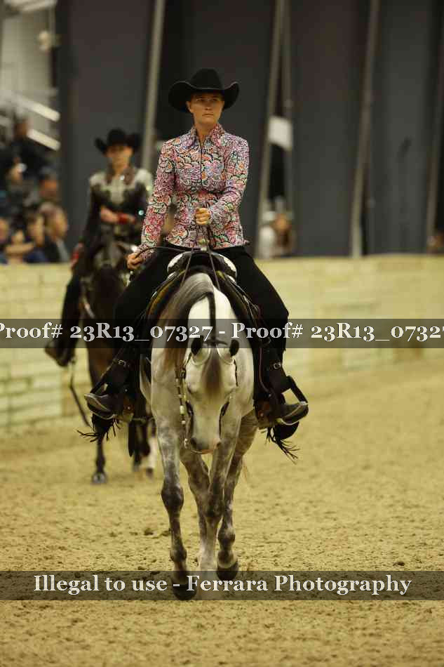 Proof Number 23R13_07327