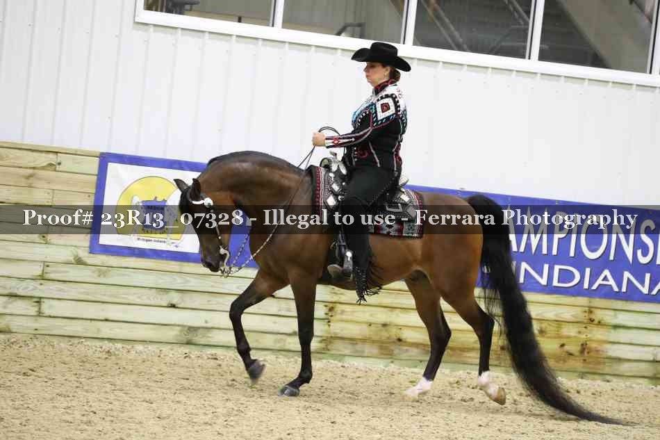 Proof Number 23R13_07328