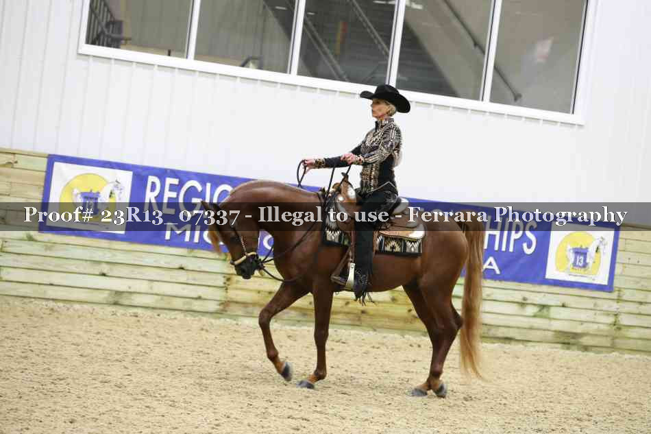 Proof Number 23R13_07337