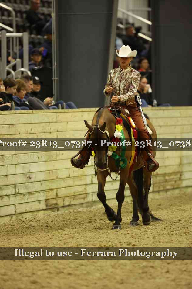 Proof Number 23R13_07387