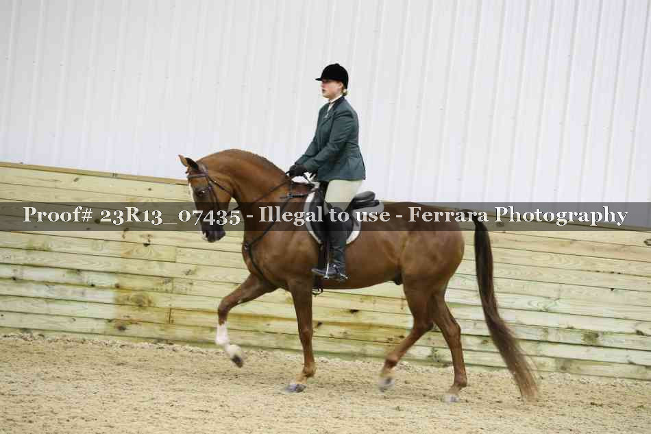 Proof Number 23R13_07435