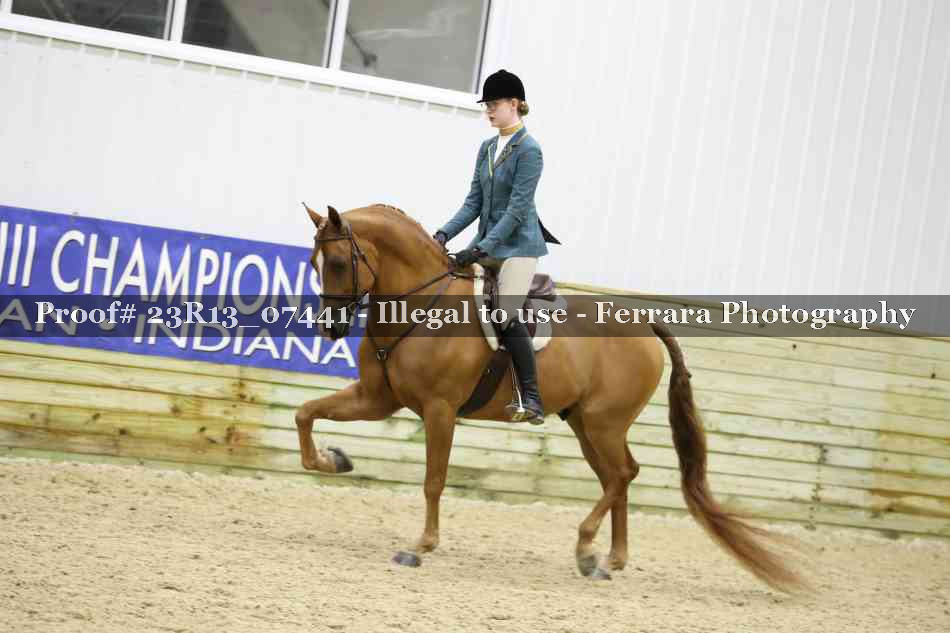 Proof Number 23R13_07441