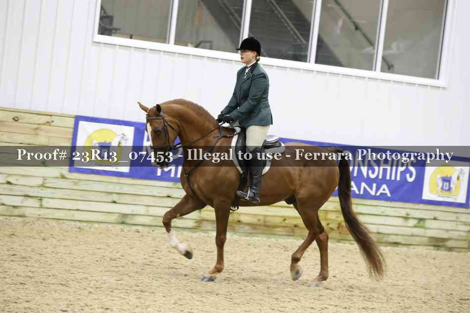 Proof Number 23R13_07453