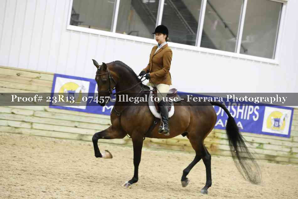 Proof Number 23R13_07457