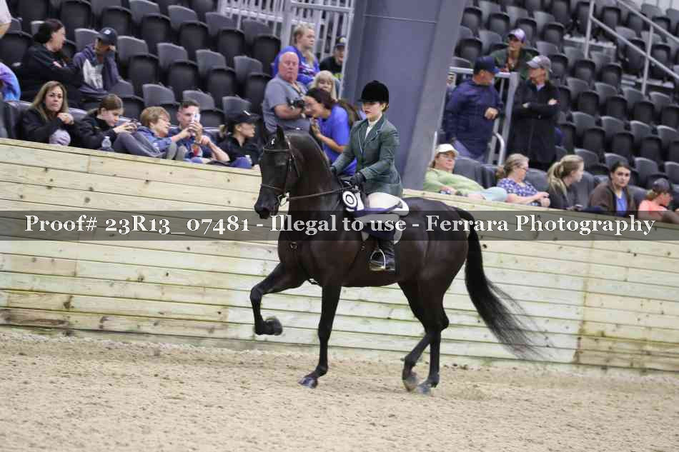 Proof Number 23R13_07481