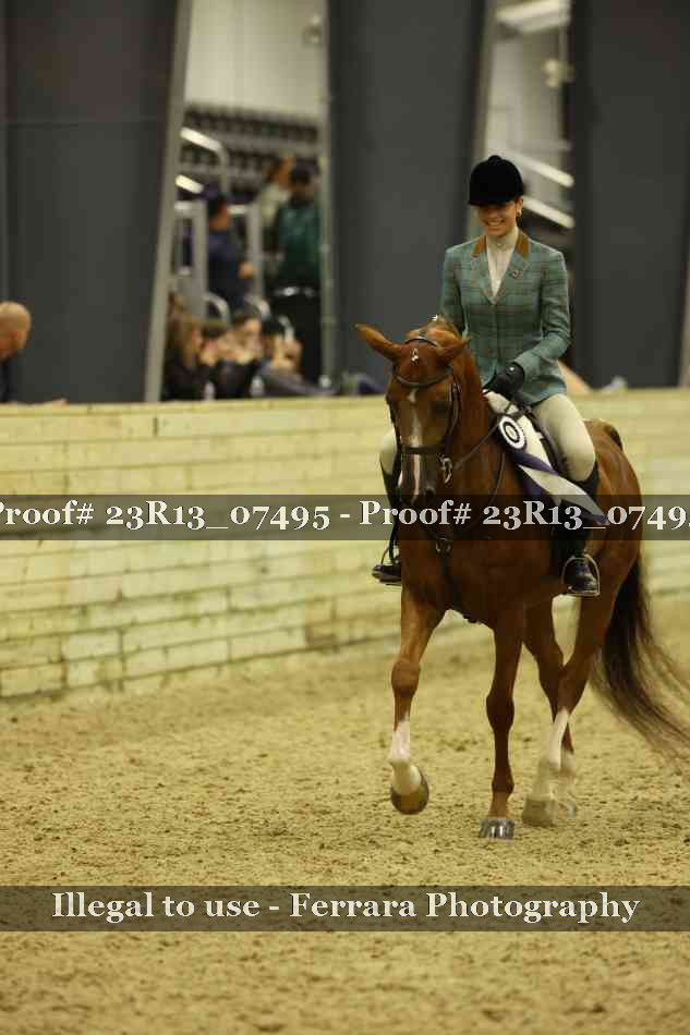 Proof Number 23R13_07495