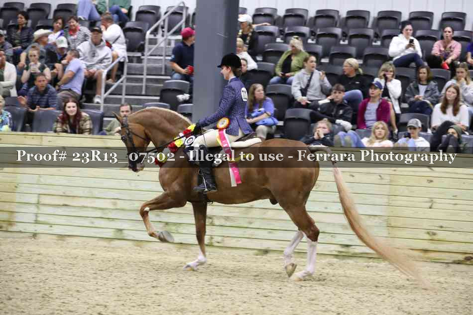 Proof Number 23R13_07502