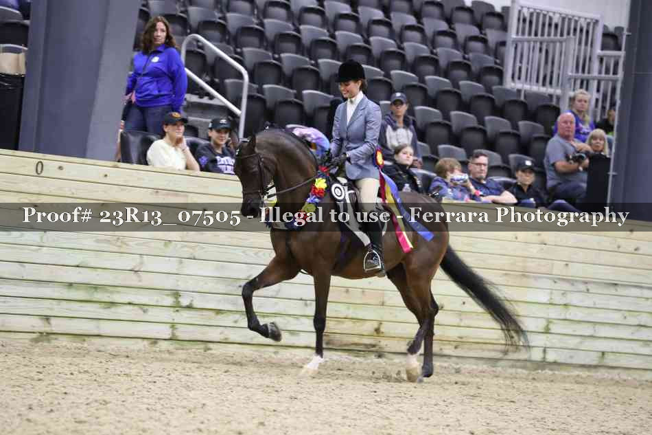 Proof Number 23R13_07505