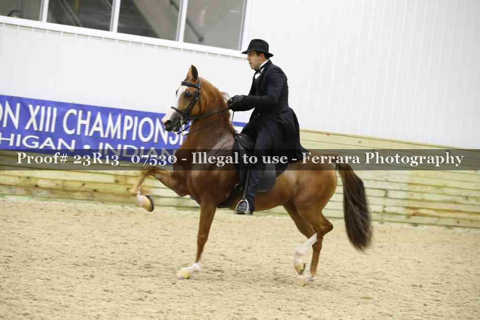 Proof Number 23R13_07530