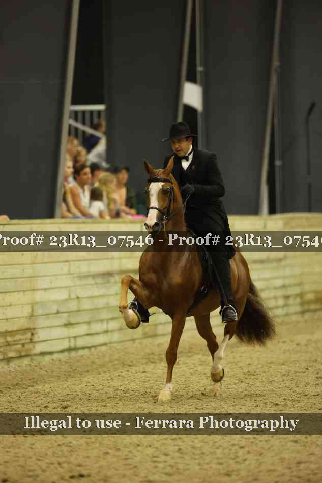 Proof Number 23R13_07546