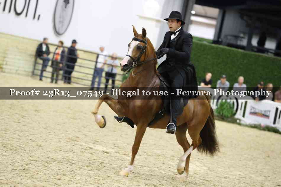 Proof Number 23R13_07549
