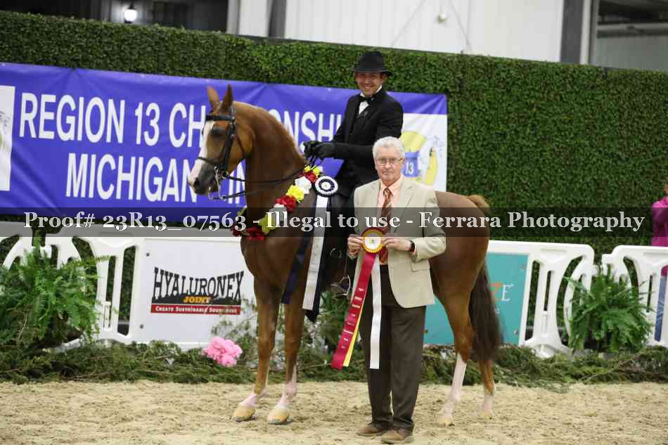 Proof Number 23R13_07563