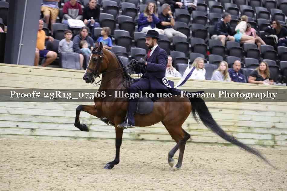Proof Number 23R13_07568