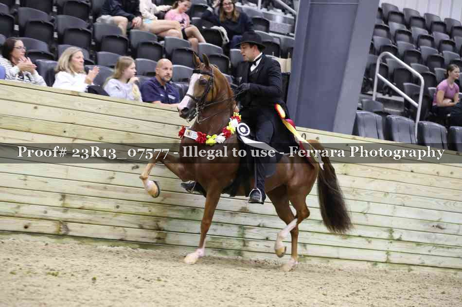 Proof Number 23R13_07577
