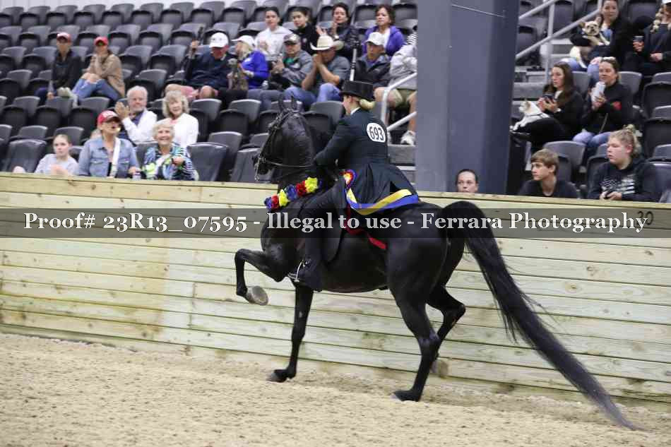 Proof Number 23R13_07595