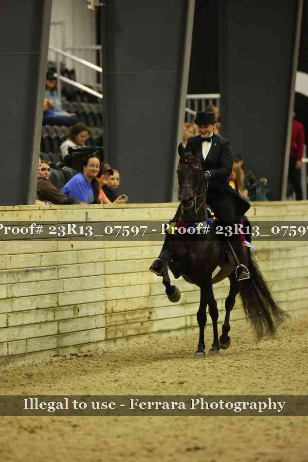 Proof Number 23R13_07597