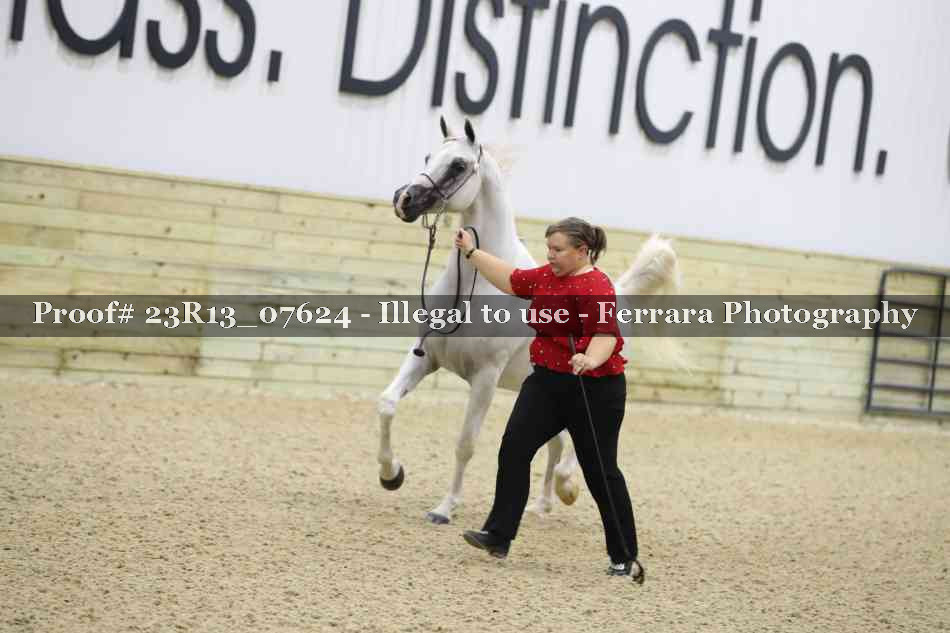 Proof Number 23R13_07624