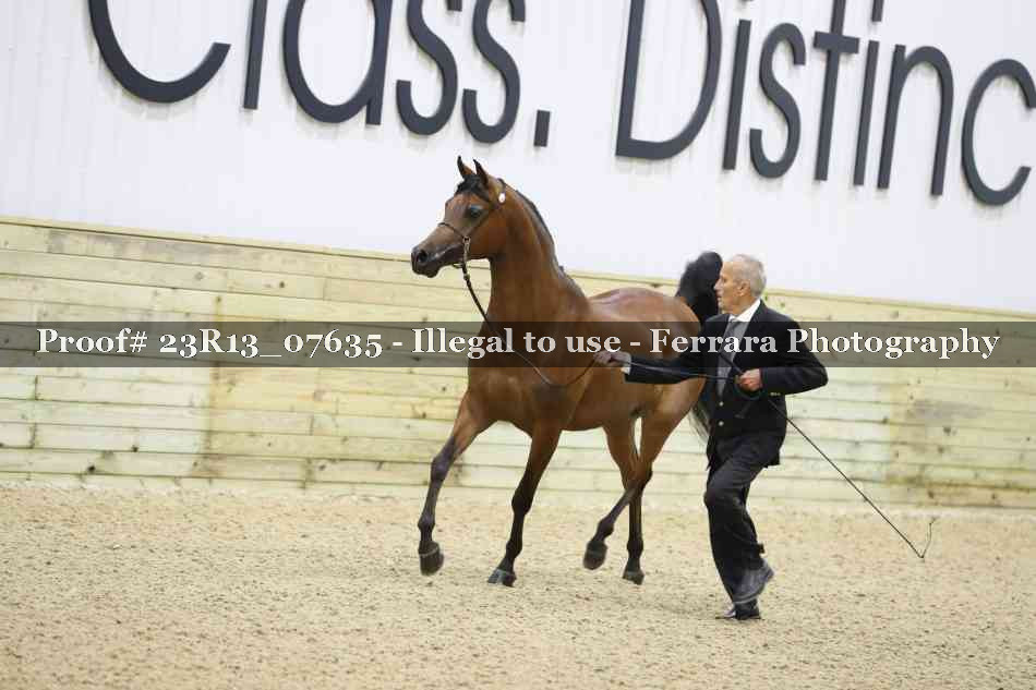 Proof Number 23R13_07635