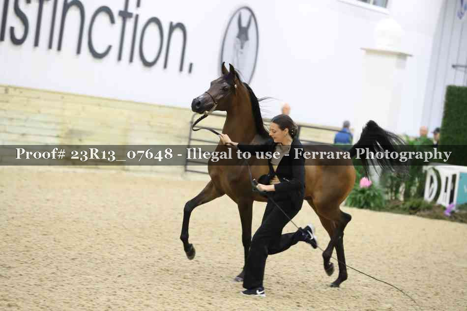 Proof Number 23R13_07648