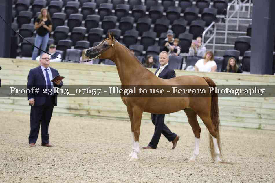 Proof Number 23R13_07657