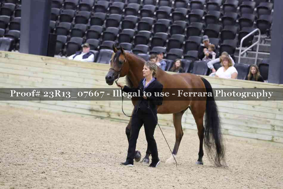 Proof Number 23R13_07667