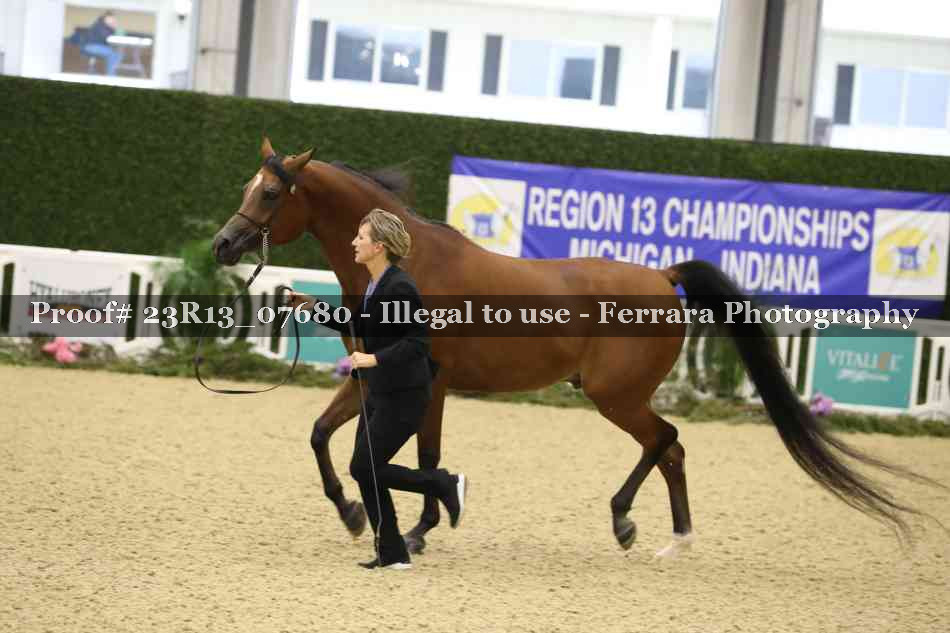Proof Number 23R13_07680