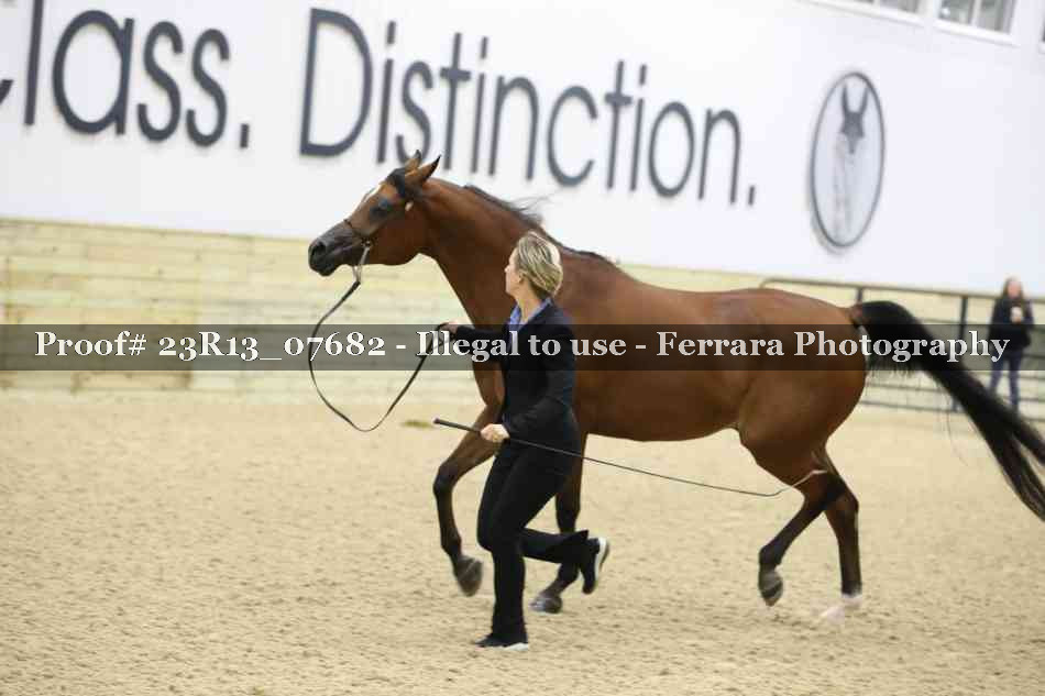 Proof Number 23R13_07682