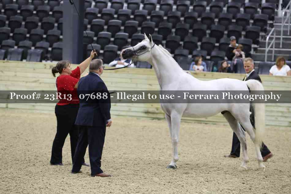 Proof Number 23R13_07688