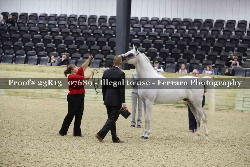 Proof Number 23R13_07689