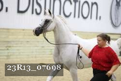 23R13_07698 thumbnail