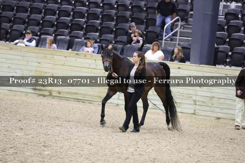 Proof Number 23R13_07701